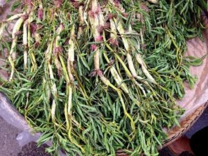 Lợi ích dinh dưỡng của loại rau