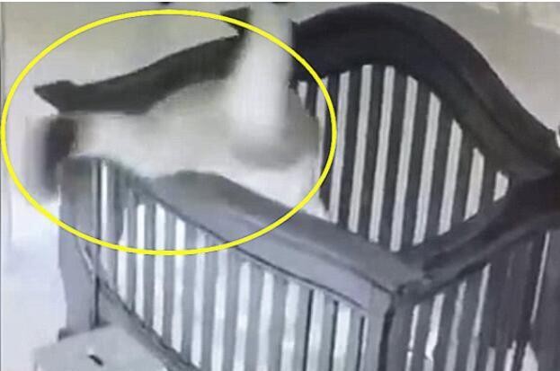 Kỹ năng xã hội phát triển kém